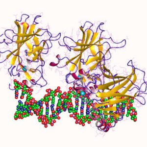 mutaciones-del-gen-p53-y-del-atrx