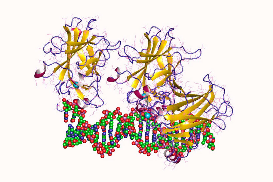 Mutaciones del Gen P53 y del ATRX